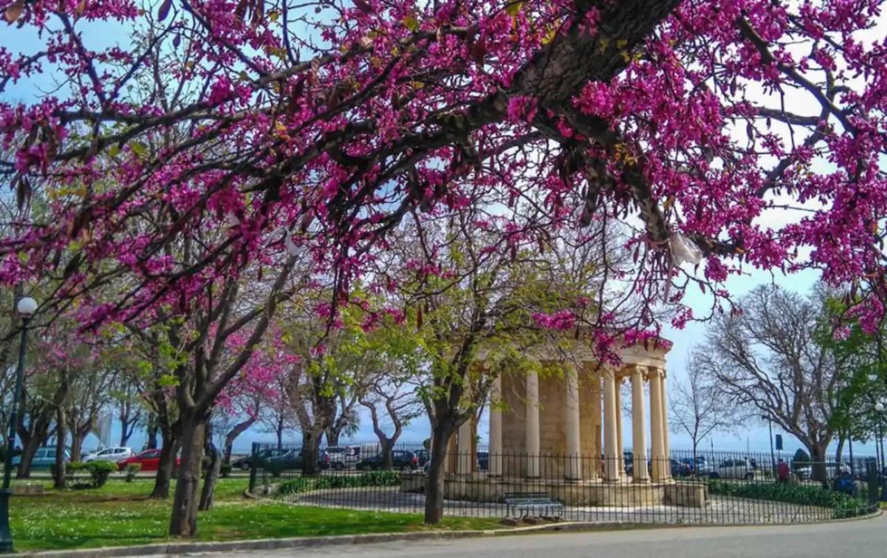 Corfu Studio In Historic Unesco City Centre Exterior photo
